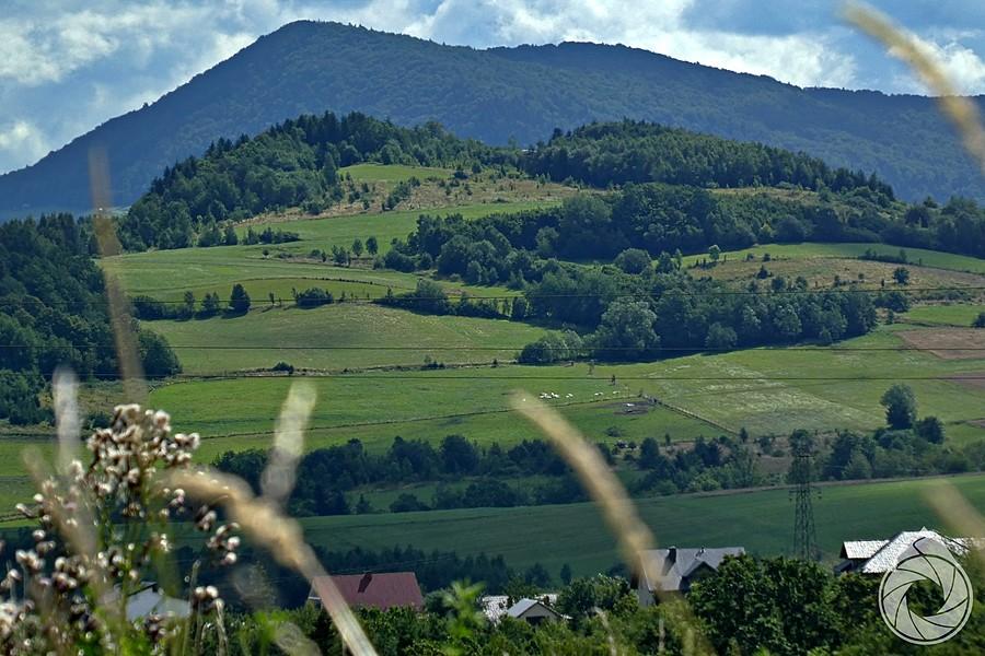 Chełm n/Grybowem