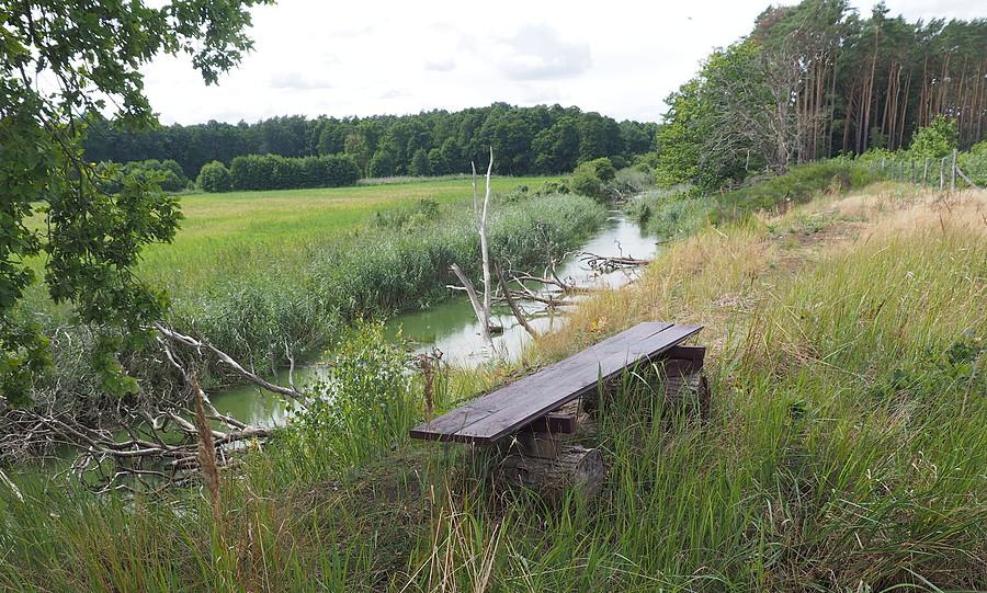 Nad Obrą okolice Borowego Młyna