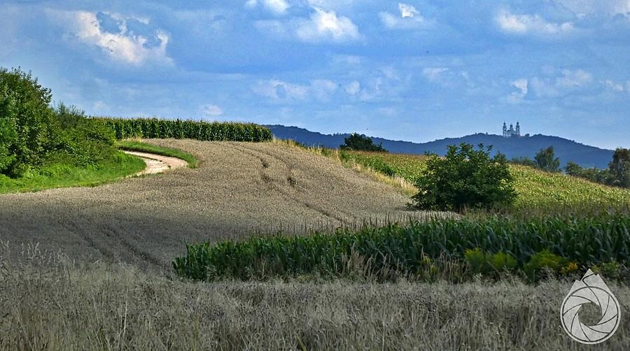 szutrowy zakręt kolo kukurydzy i opactwo na górce