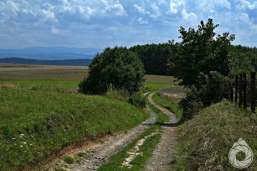 polne drogi nad Sanką