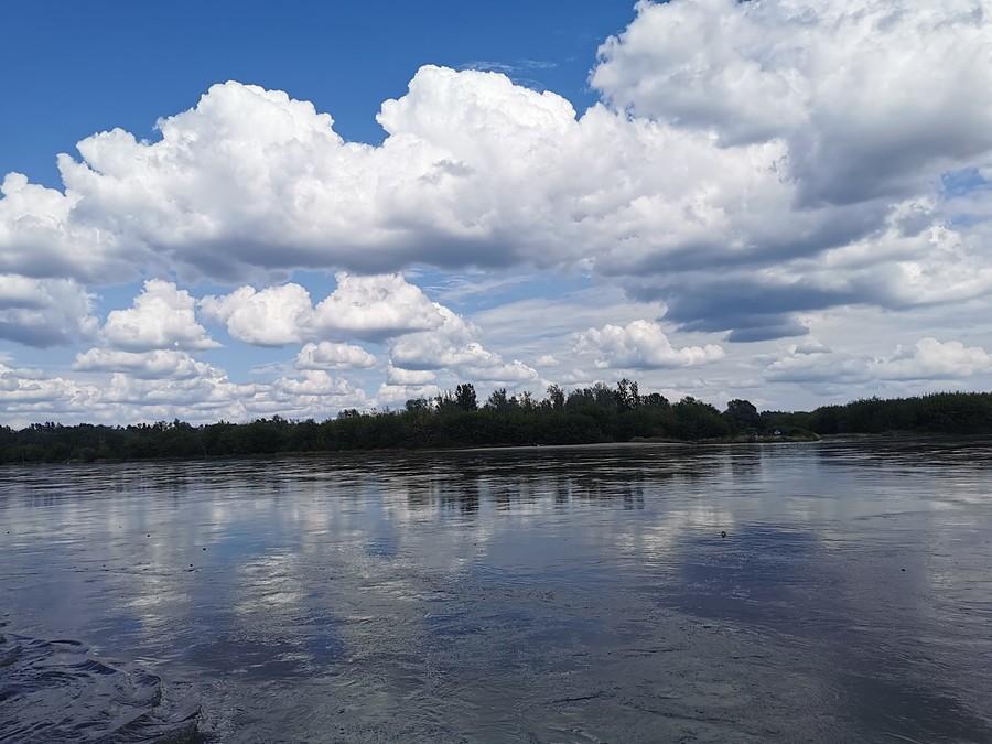 Wisła w Dębówce