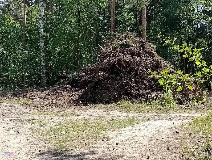 Teraz leżą w jednym miejscu