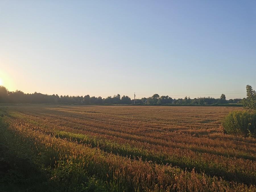Po żniwach