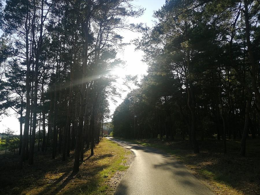 Słoneczny widoczek.