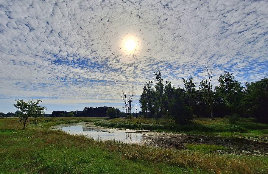 Klimatycznie w Rogalińskim Parku Krajobrazowym