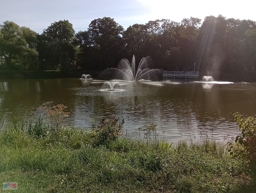Staw w Ołtarzewie