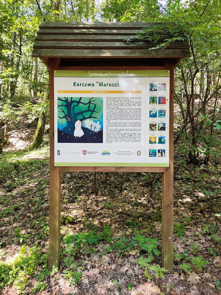 Legenda o Maruszce