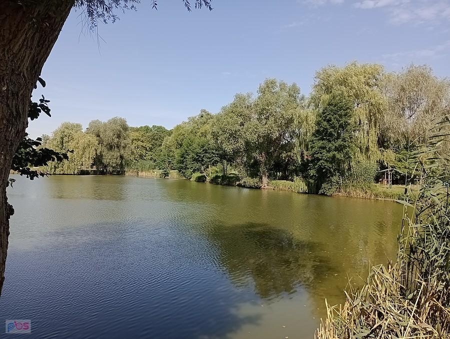 Staw w Zielonkach