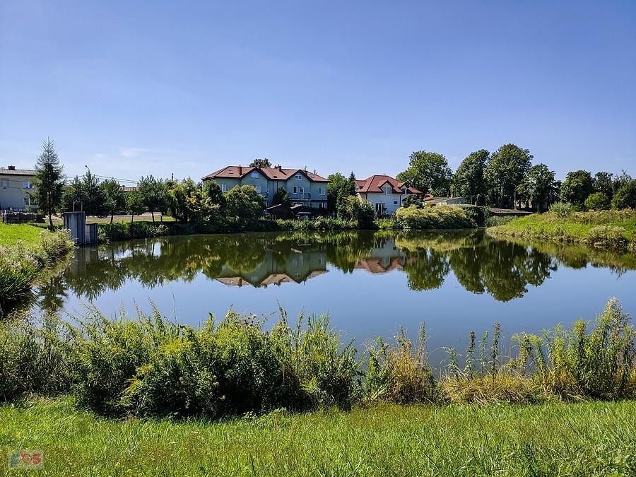 Staw Wąsal