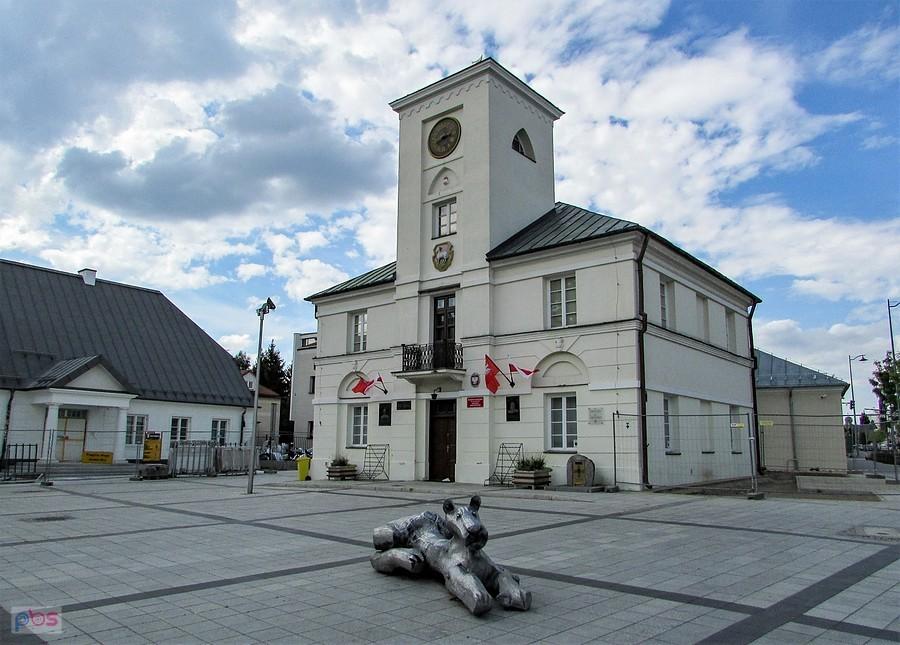 Starego ratusza pilnuje lwica Józefa Wilkonia