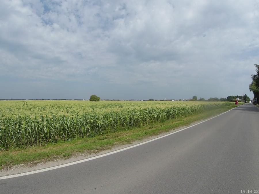 Szeligi, ul. Szeligowska