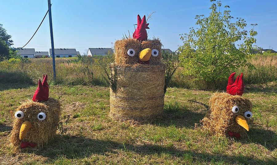Pierwsza tegoroczna dożynka - tytuł trafia do Dopiewca :)