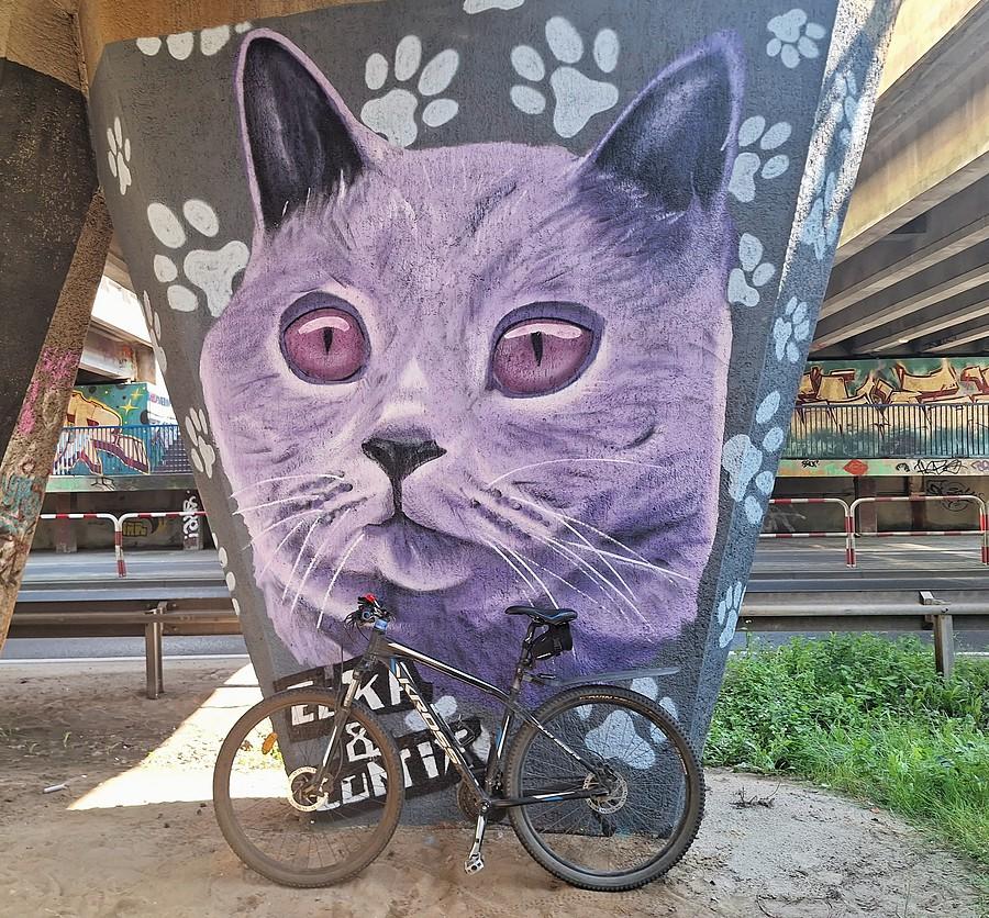 Koci mural pod Hetmańską