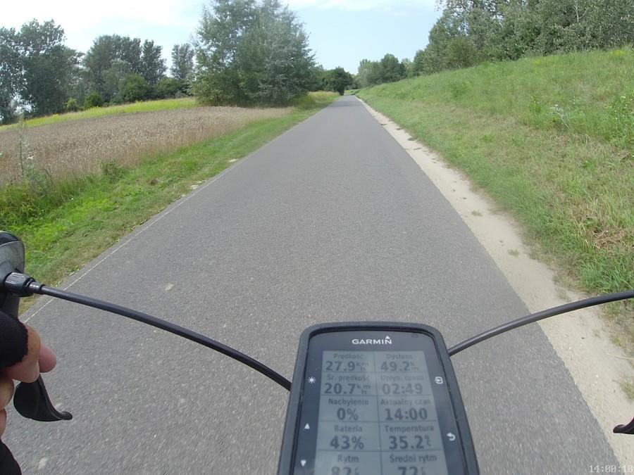 Ciszyca osłabiona 35,2°C