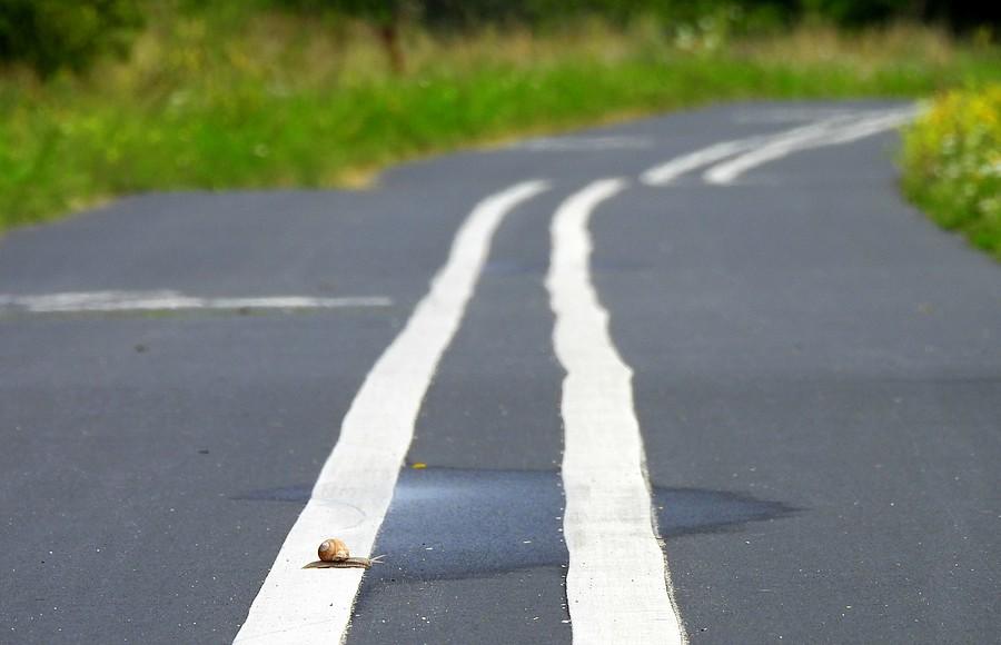 Ślimak pokonuje Wartostradę
