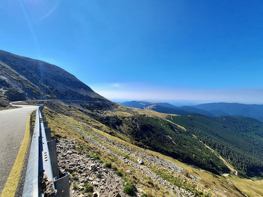 Transalpina boli.