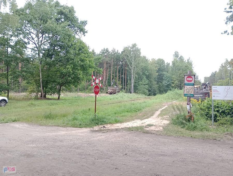 Zabierają karpy z lasu