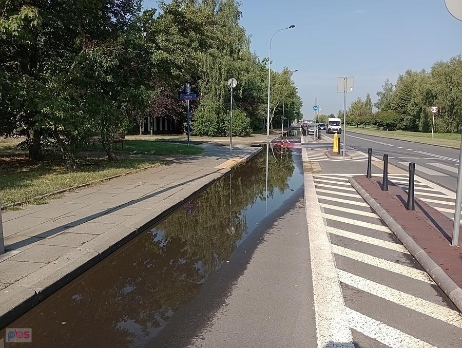 Widać, że padało