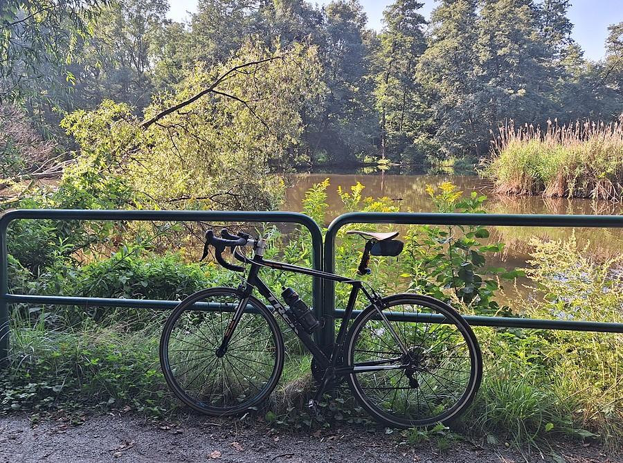 Znów rowerem na Dębinie