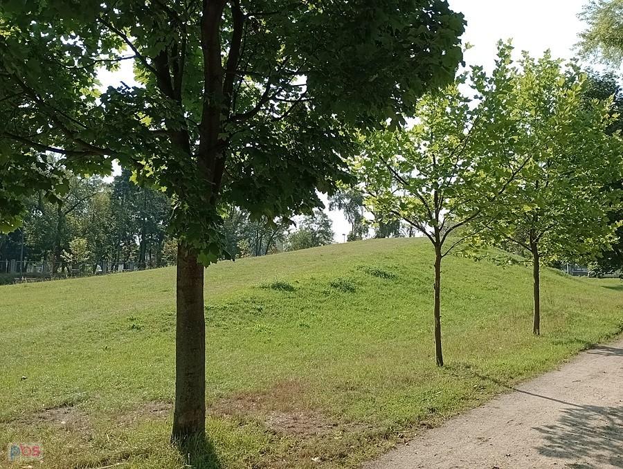 Park na Kole
