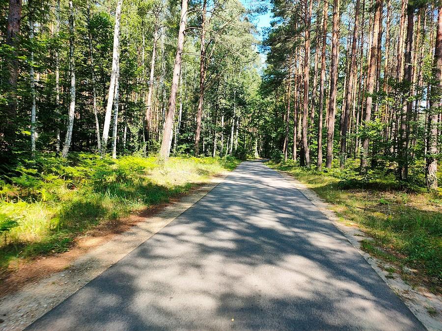 Droga Gościm - Rąpin