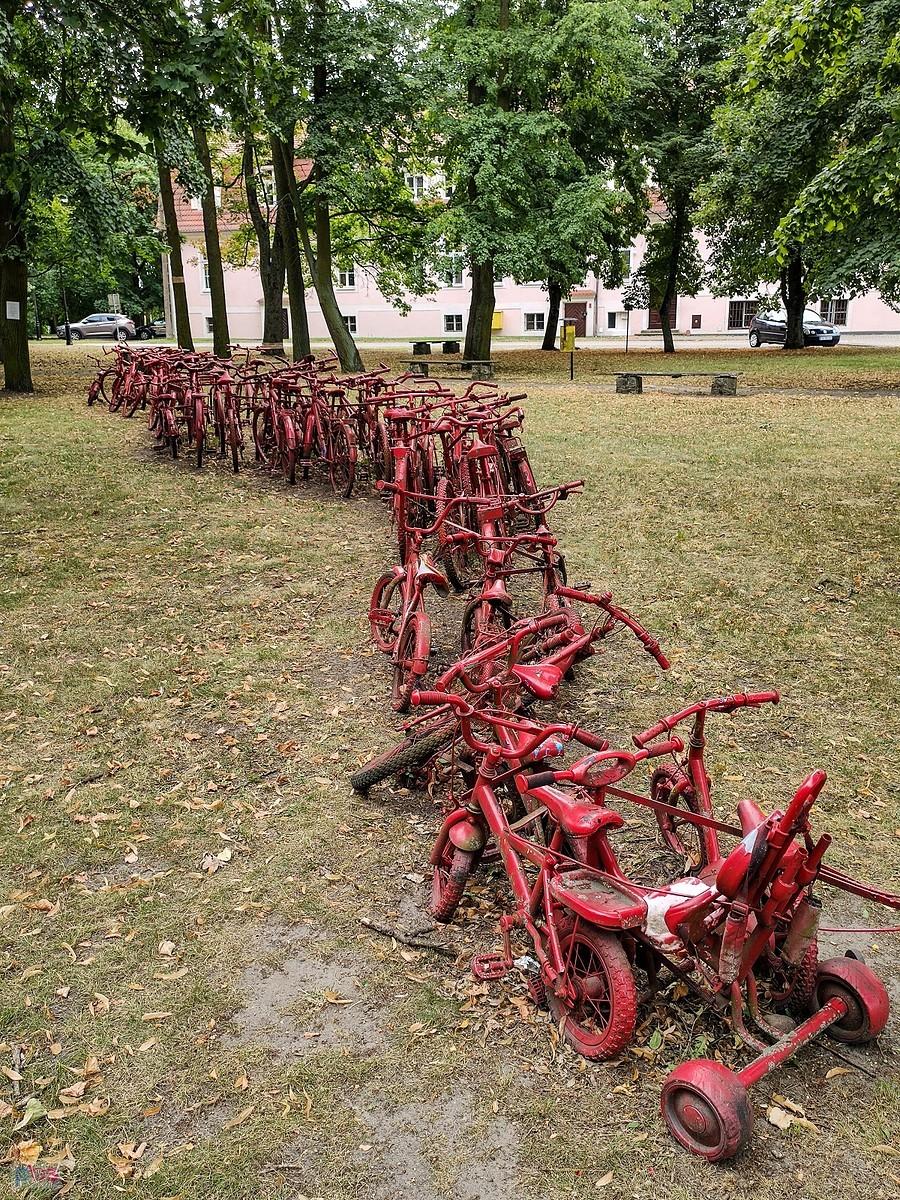 Czerwony peleton