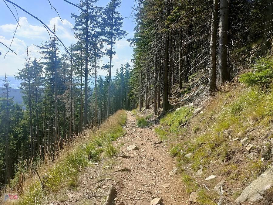 Droga powrotna