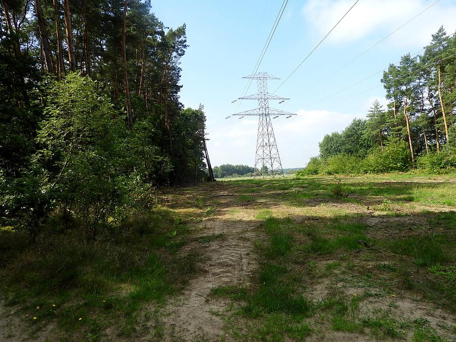 Linia wysokiego napięcia pod Wołczkowem.