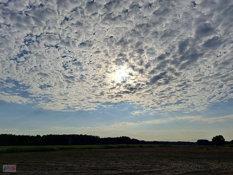 Chmury altocumulus nad polem