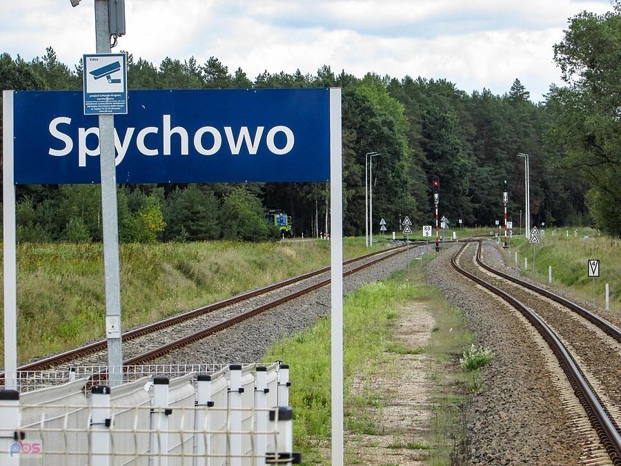 Stacja Spychowo - coś się czai w lesie