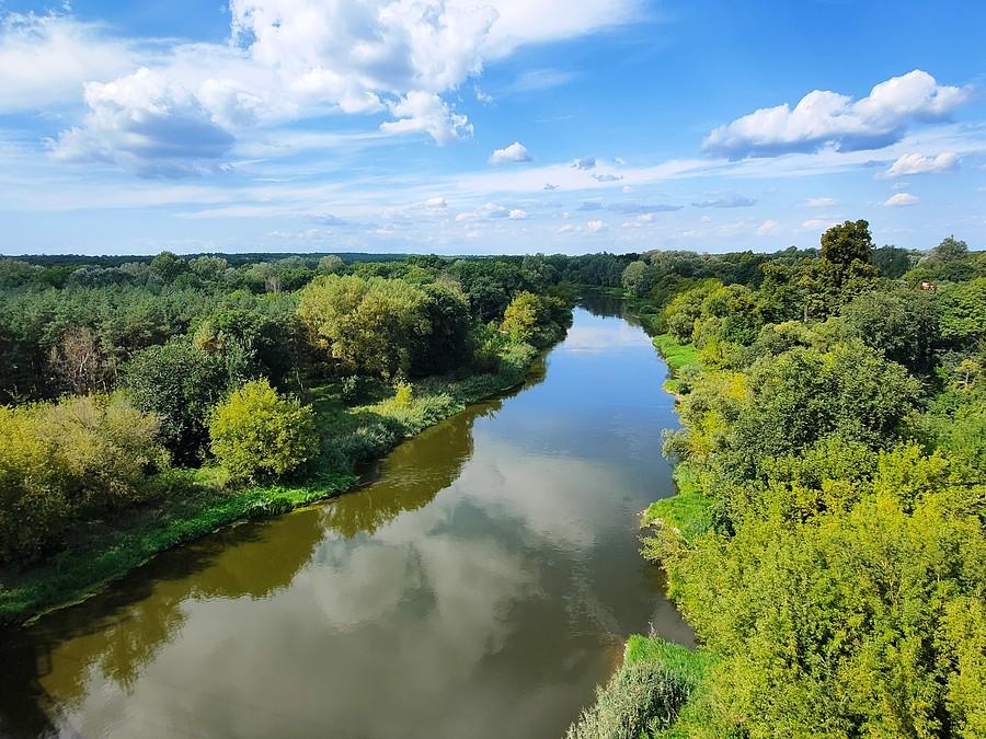 Rzeka Warta w Owińskach