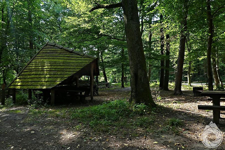 kolejny klimatyczny postój śródleśny