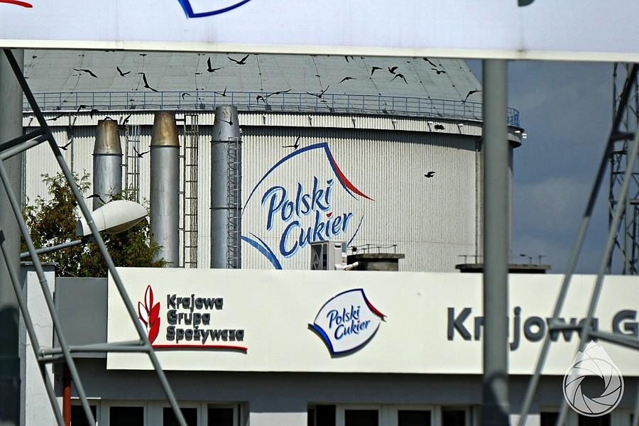 wielki silos okazuje się być wytwórnią najlepszego białego złota na świecie!