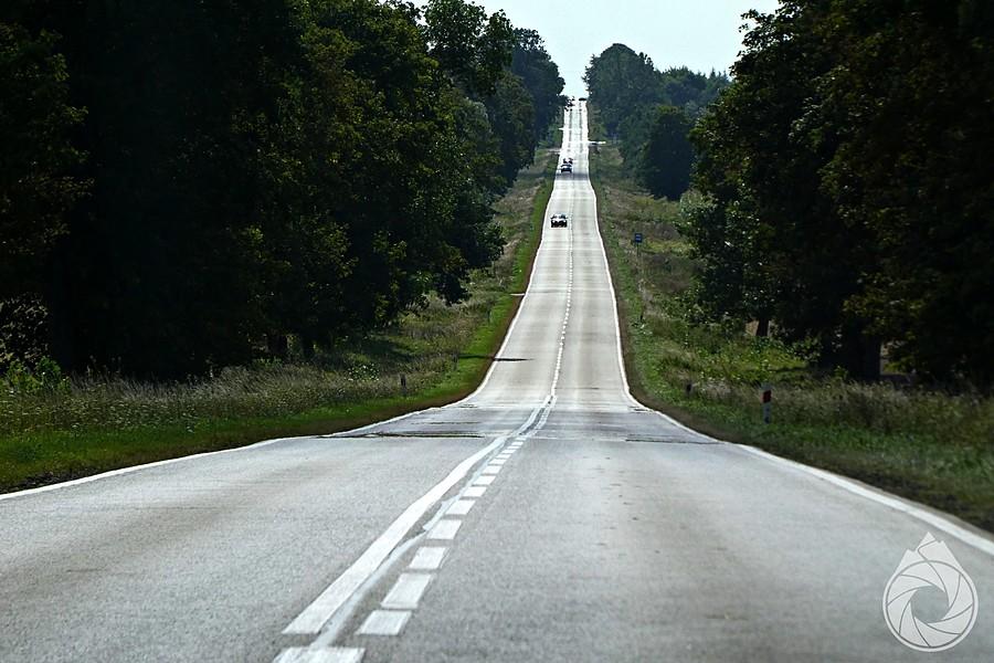 prościutka słoneczna poranna na Hrubieszów