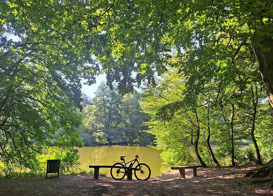 Rower wśród dębińskiej zieleni