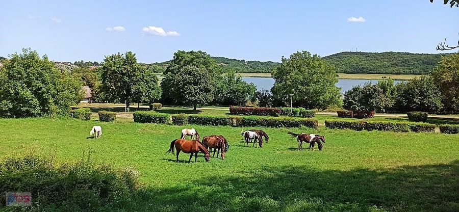 Jezioro Belso na półwyspie Tihany