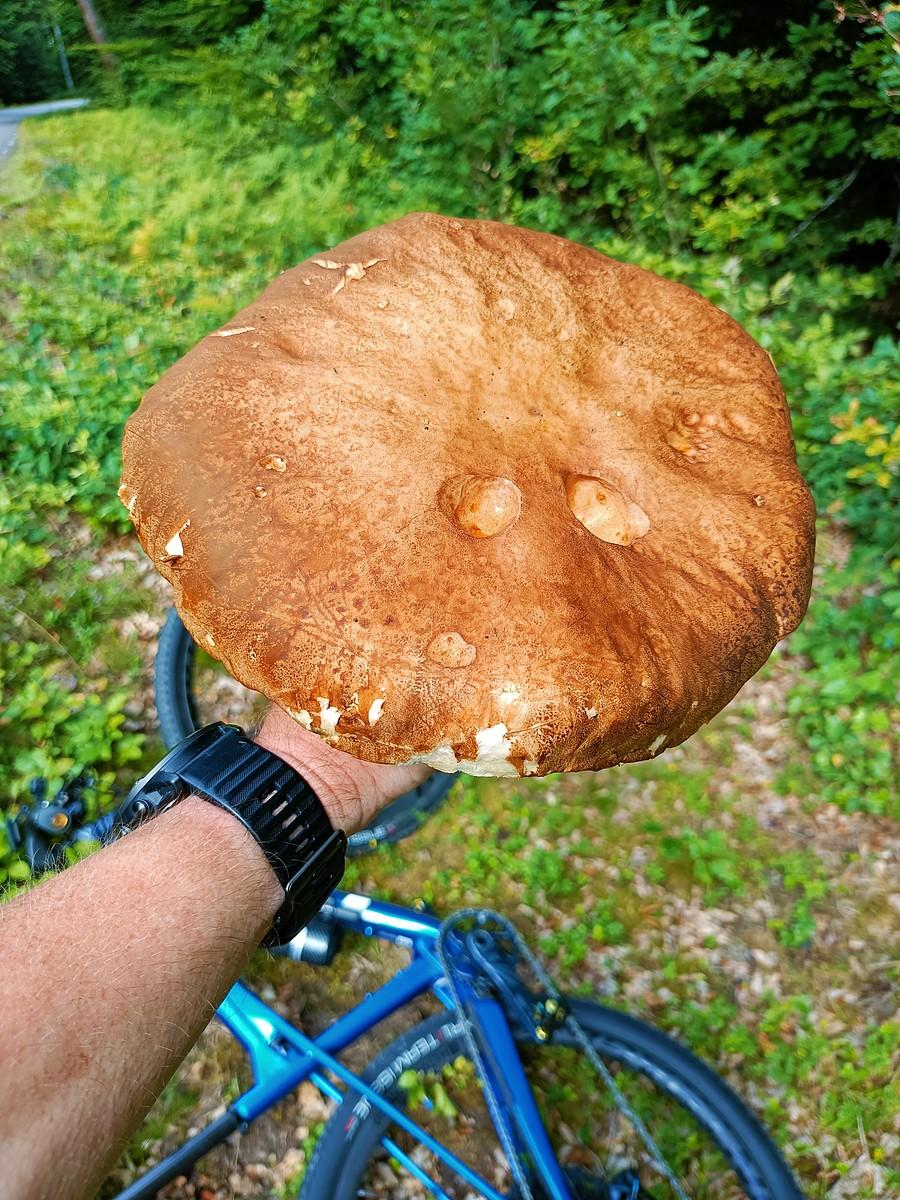 Takie prawe widziałem do tej pory tylko na zdjęciach.