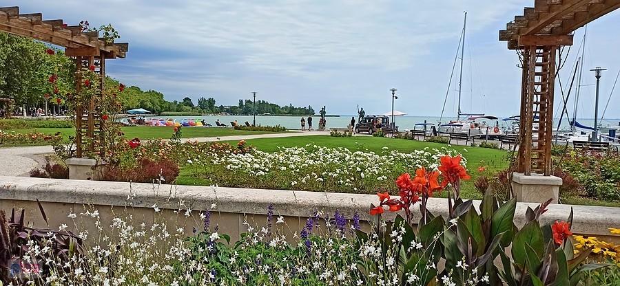 Balatonfured całe w kwiatach