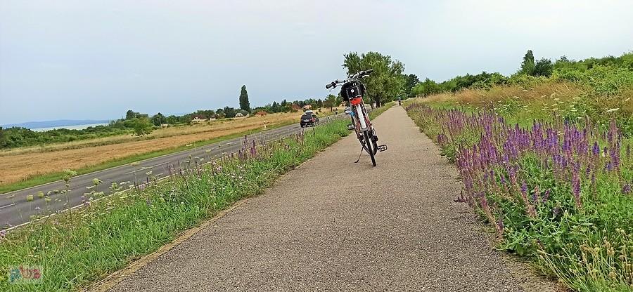 Wzdłuż Balatonu. Między Balatonfured a Balatonudvari