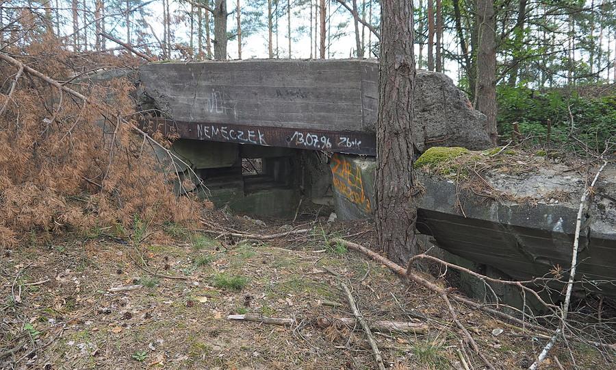 Ściana wejściowa Pz.W.877