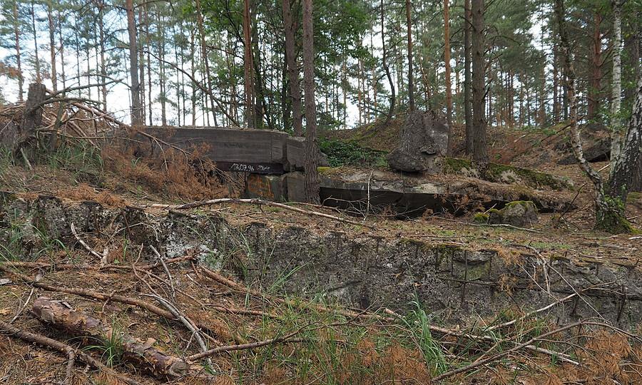 Widok ogólny na Pz.W.877