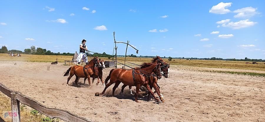 Lovasbemutato czyli pokaz ujeżdżania i tresury koni przez czikoszów (węgierskich kowbojów)