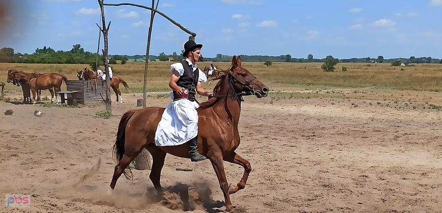 Nie rozlać ani kropli. Pokaz umiejętności jeździeckich