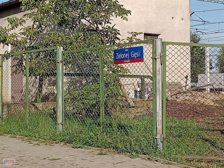 Ulica Zielonej Gęsi