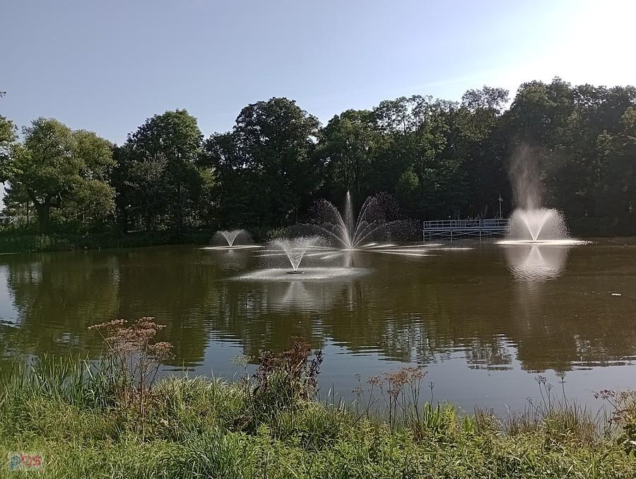 Staw w Ołtarzewie