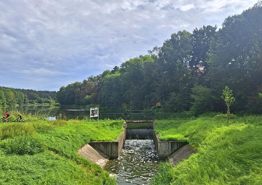 Nad Stawem Browarnym