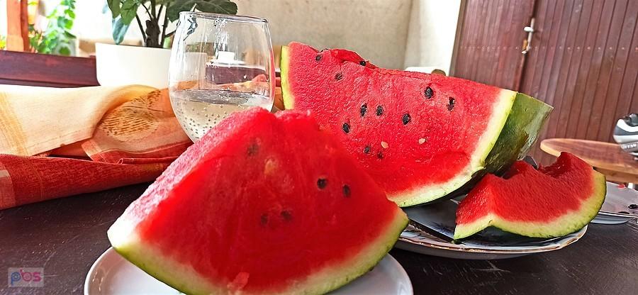 Arbuz prosto z węgierskiego pola
