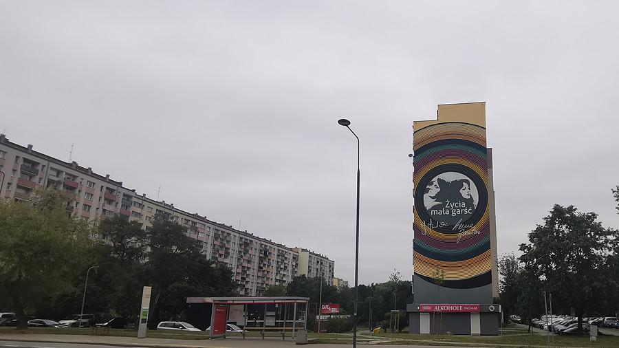 Widok od Wólczyńskiej