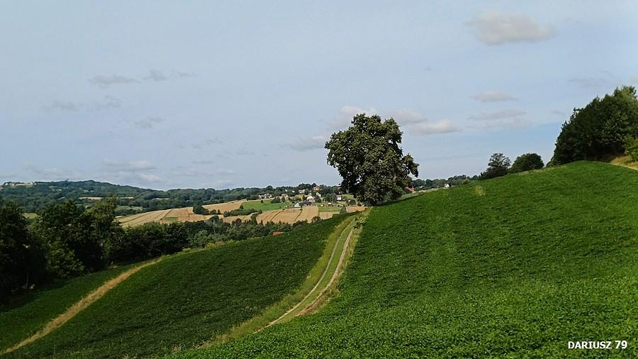 Dębno