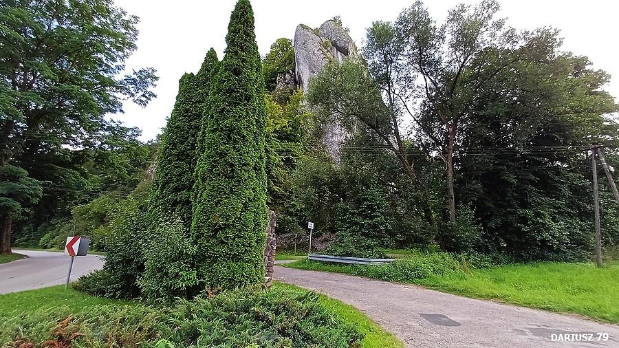 Rezerwatu przyrody Zimny Dół w Czułowie